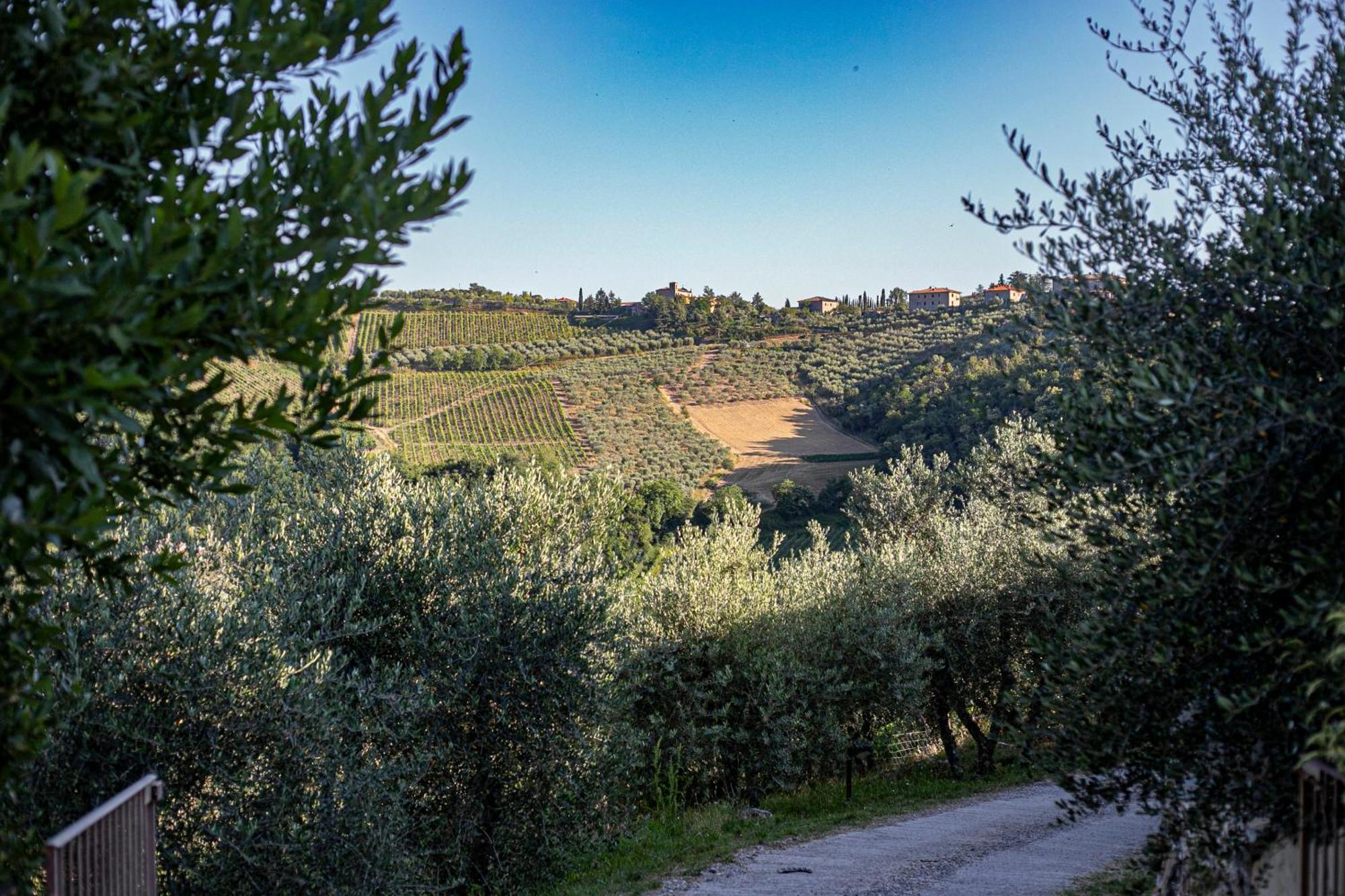 Villa Borgo Casa Al Vento Gaiole in Chianti Exterior foto